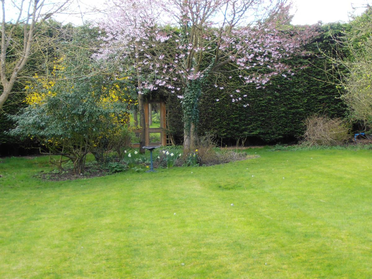 Castle View Rooms Castle Hedingham 외부 사진